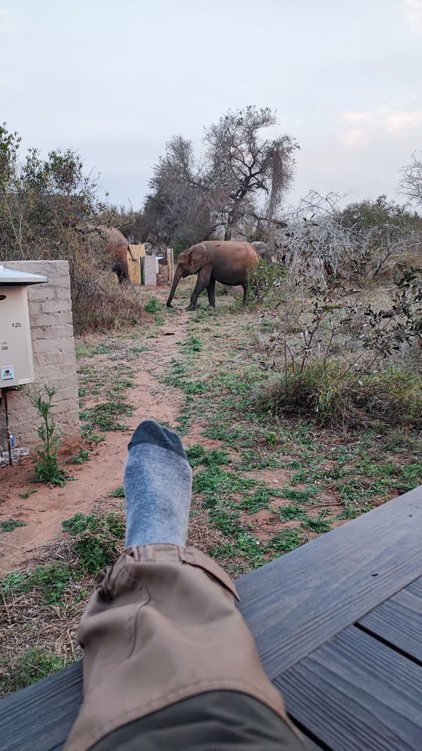 Gallery impression 2